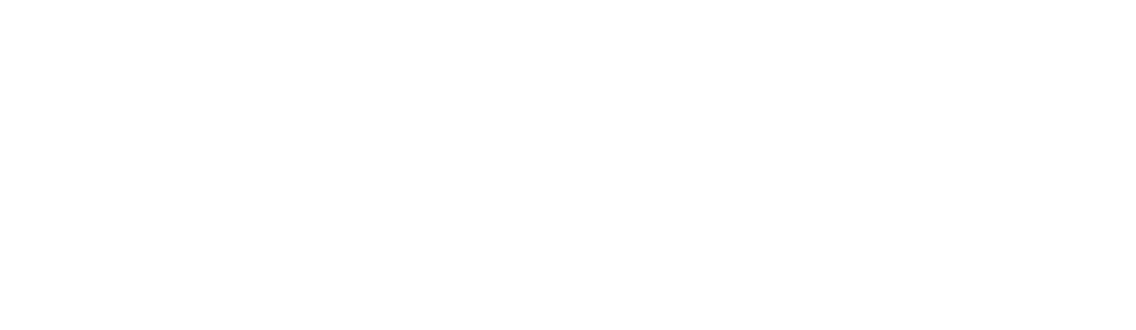 Tachoflow - Tu aliado en el control de tiempos y conducción
